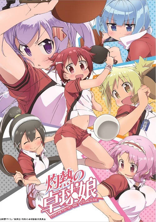 灼热的乒乓球娘/灼热的桌球娘