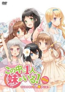 后宫