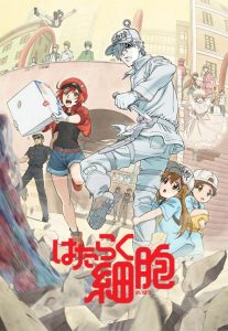 2018年番剧