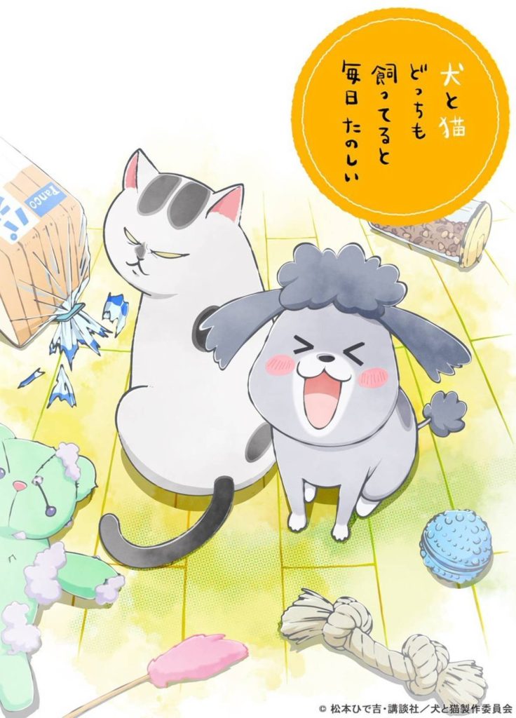 与汪汪喵喵同居的开心日常/养猫养狗每天很开心