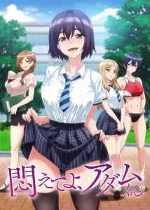 其他番剧